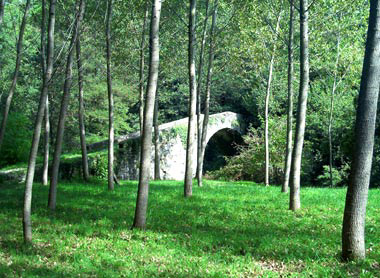 Bridge in Loppia
