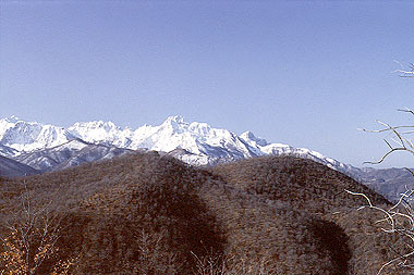 Ligurian settlement of Monte Pisone
