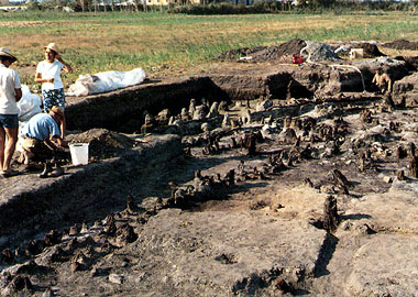 Etruscan settlement of S. Rocchino