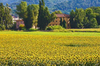 Porta del Parco Migliarino San Rossore Massaciuccoli