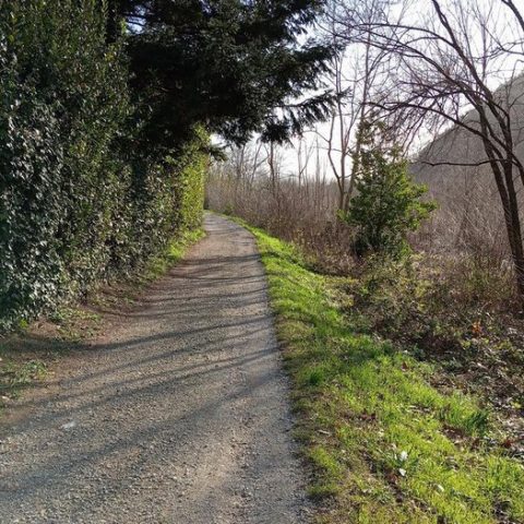 Lungo il parco fluviale
