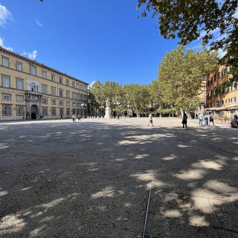 Piazza Napoleone - Lucca