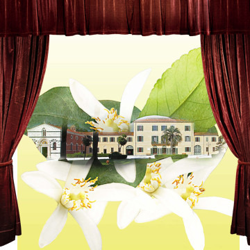 Nel giardino di Maria Luisa - Settembre 2021 / In Maria Luisa's Gardens - Settembre 2021