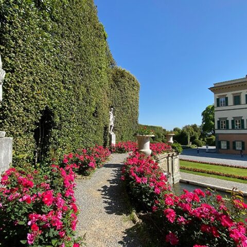 Pic nic al tramonto... stellato!