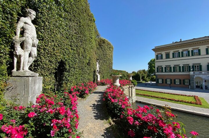 Pic nic al tramonto... stellato!