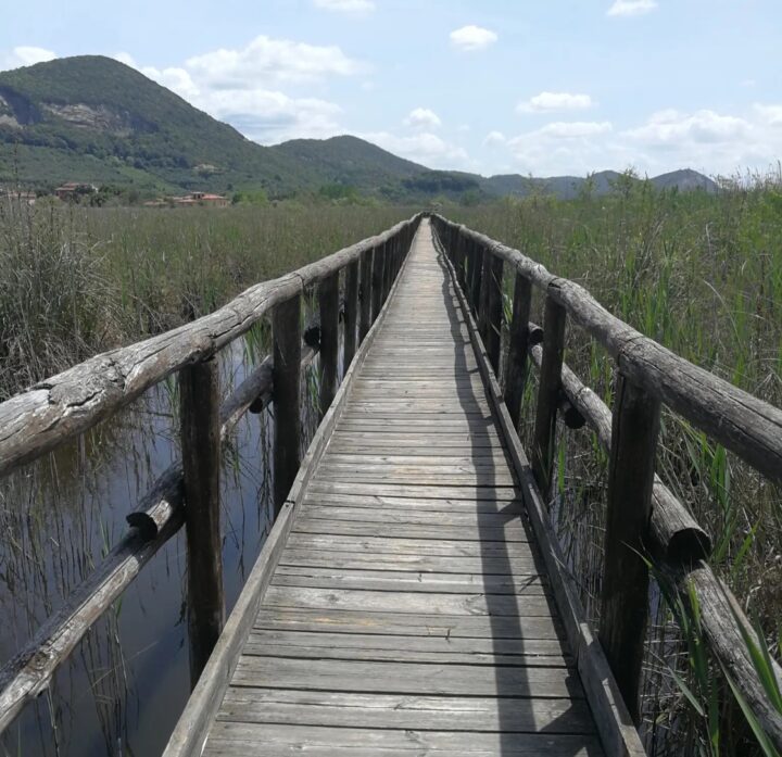 Itinerario Puccini – Fosso di bonifica - Itinerario ad anello da Viareggio / Puccini route – Ring route from Viareggio