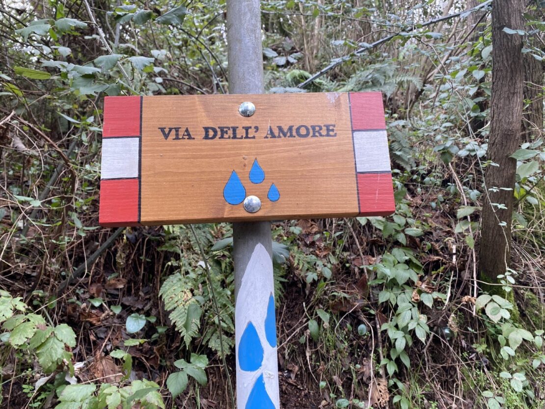 La via dell'amore: tra ville, terme e sentieri verdi  / Lovers’ walk: walking among historic villas, thermal baths and green trails