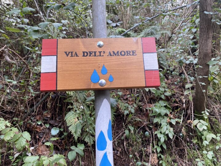 La via dell'amore: tra ville, terme e sentieri verdi  / Lovers’ walk: walking among historic villas, thermal baths and green trails