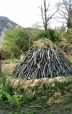 Pescaglia, la legnaia