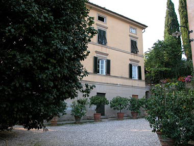 Lato est dell'edificio e, in primo piano, camelia.