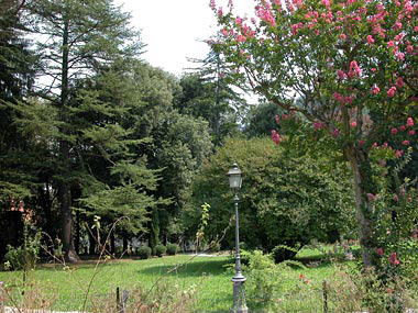 Giardino