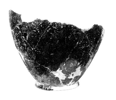 Camaiore, olla cineraria,