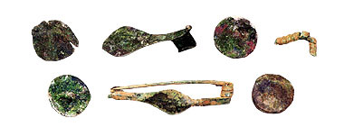 Castelvecchio Pascoli, fibule e