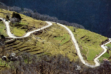 Stazzema, Piane Alte