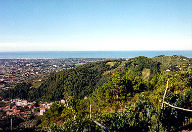 Pietrasanta, collina e pianura costiera