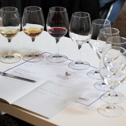 Anteprima Vini - Gallery