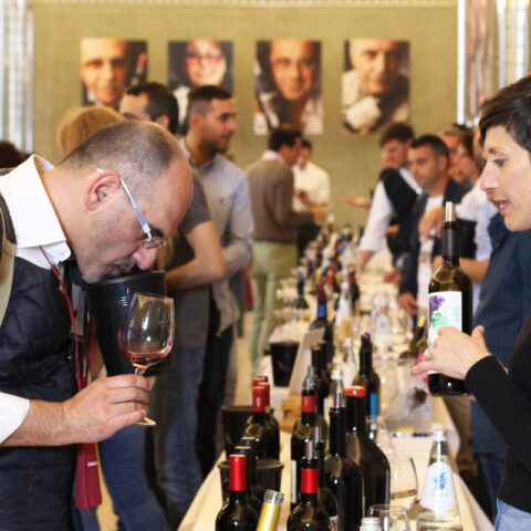 Anteprima Vini - Gallery