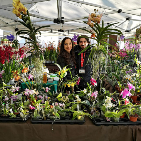giulio-celandroni-orchidee-verdemura-2019