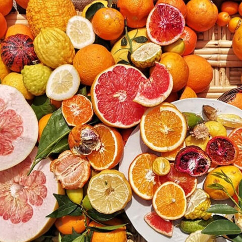 verdemura-2019-56271628_1295979663884483_7462045522593841152_n