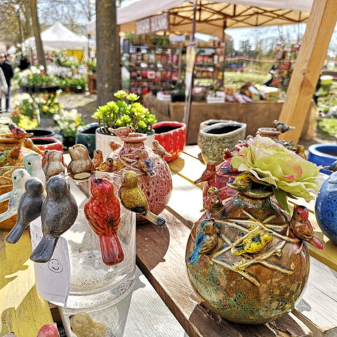 vases-and-vasi-verdemura-2019