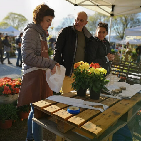 Del_carlo_sandro-Verdemura-2019