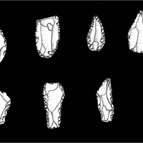 Buca-del-Tasso-strumenti
