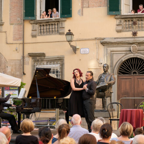 Cartolina Rondine - 3 agosto 2017 (1) - foto Peter Adamik