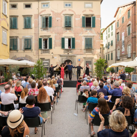 Cartolina Rondine - 3 agosto 2017 (2) - foto Peter Adamik