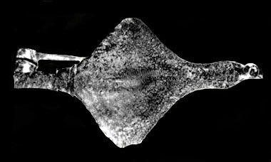 Marlia, fibula in bronzo dalla tomba 5