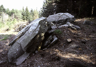 Capannori, resti del
