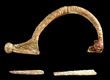 Camaiore, fibula in bronzo,