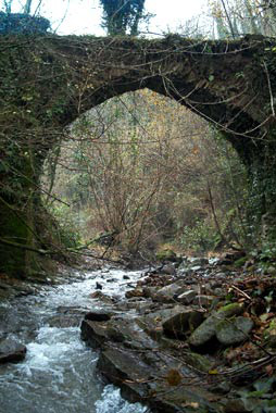 Il ponte visto da valle