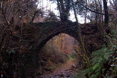 Il ponte visto da monte