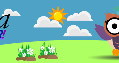 Sophia Junior banner