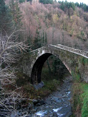 Il profilo del ponte
