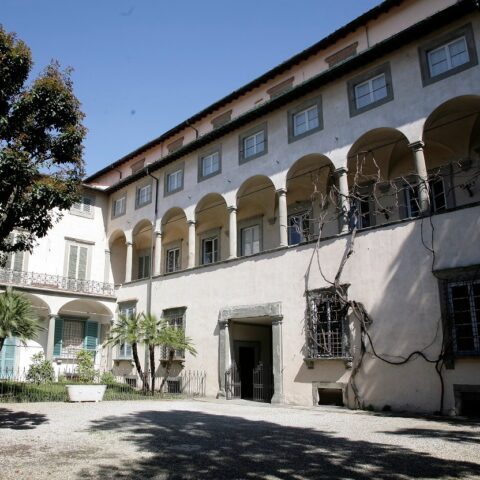 Palazzo Mansi - giardino  / Palazzo Mansi - garden