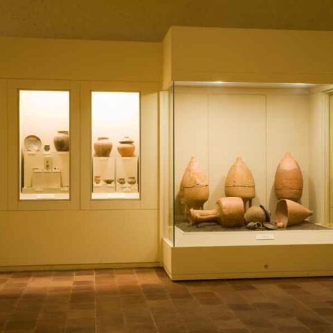 Sale - Le civiltà antiche / Rooms - Le civiltà antiche
