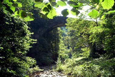 Il ponte visto da valle