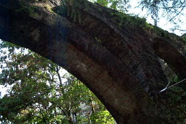 Gli archi dell'acquedotto