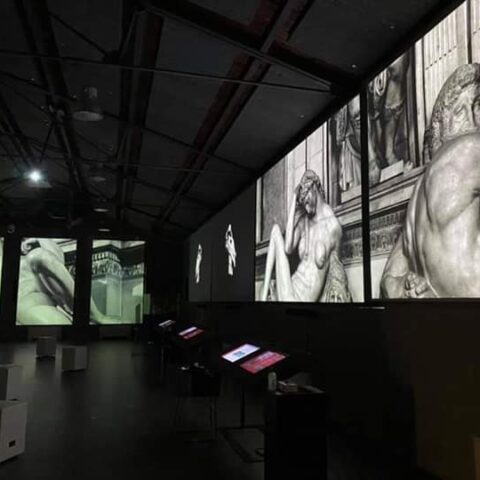 Michelangelo - il dono della creazione