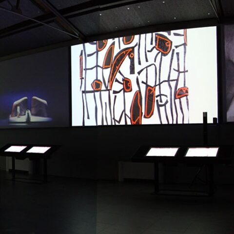 Panoramica MuSA interno 1