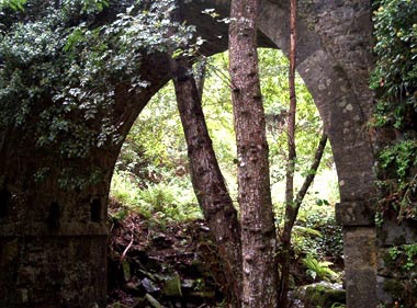Il ponte visto da valle