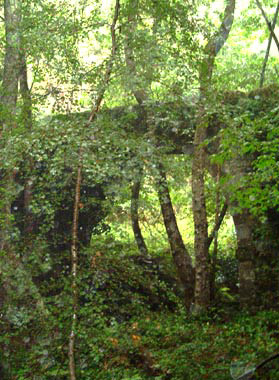 Il profilo del ponte