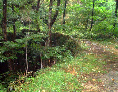 Il sentiero sul ponte