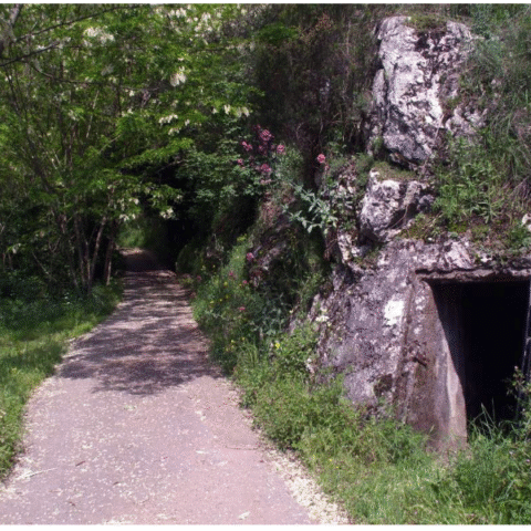 Screenshot 2021-07-05 at 10-27-50 Museo della Memoria