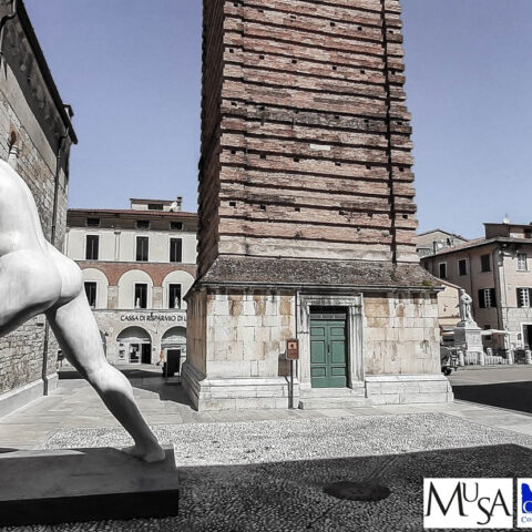 Mr. Arbitrium - Giannella