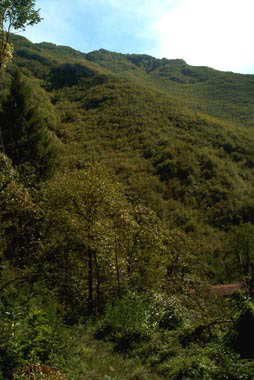 La valle della Lima nei pressi del ponte