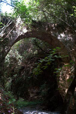 Profilo del ponte visto da valle