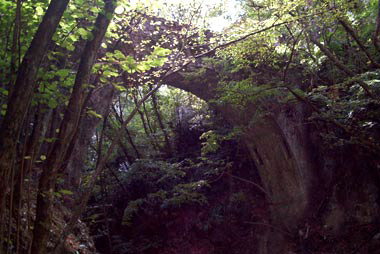 Il ponte visto da monte