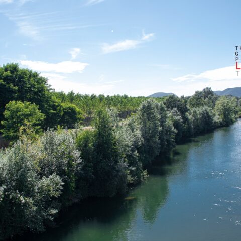 Fiume Serchio / Serchio river